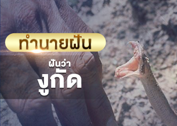 ทำนายฝัน ฝันว่างูกัด พร้อมเลขเด็ดนำโชค