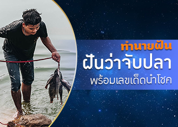 ทำนายฝัน ฝันว่าจับปลา พร้อมเลขเด็ดนำโชค