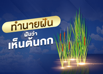 ฝันเห็นต้นกก