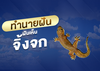 ฝันเห็นจิ้งจก