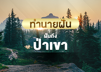 ฝันถึงป่าเขา