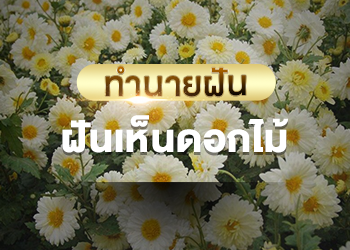 ฝันเห็นดอกไม้ เลขเด็ด