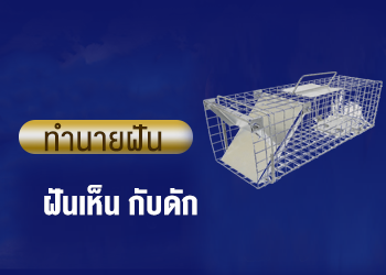 ฝันเห็น กับดัก