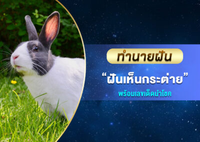 ทำนายฝัน ฝันเห็นกระต่าย พร้อมเลขเด็ด