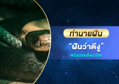 ทำนายฝัน ฝันว่าตีงู พร้อมเลขเด็ด