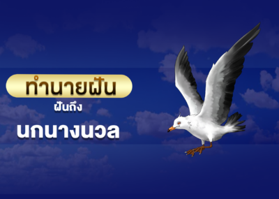 ฝันเห็น นกนางนวล