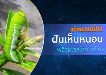 ฝันเห็นหนอน ด้านการเงิน การงาน