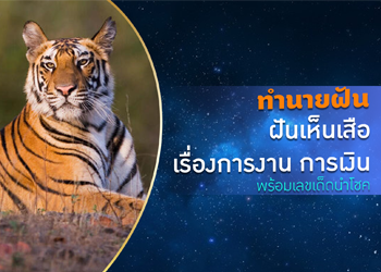 ฝันเห็นเสือ ด้านการงาน การเงิน