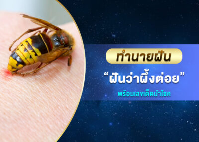 ทำนายฝัน ฝันว่าผึ้งต่อย พร้อมเลขเด็ด