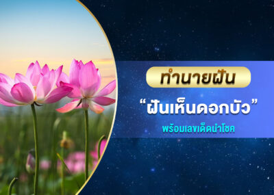 ทำนายฝัน ฝันเห็นดอกบัว พร้อมเลขเด็ด