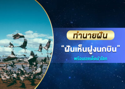 ทำนายฝัน ฝันเห็นฝูงนกบิน พร้อมเลขเด็ด