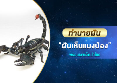 ทำนายฝัน ฝันเห็นแมงป่อง พร้อมเลขเสี่ยงโชค
