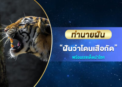 ทำนายฝัน ฝันว่าโดนเสือกัด พร้อมเลขเด็ด