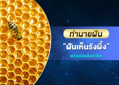 ทำนายฝัน ฝันเห็นรังผึ้ง พร้อมเลขเด็ด