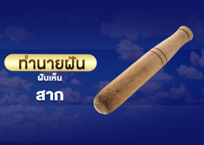 ทำนายฝัน ฝันเห็น สาก