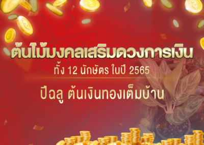 ต้นไม้มงคลเสริมดวงการเงินทั้ง 12 นักษัตร ในปี 2565 ปีฉลู ต้นเงินทองเต็มบ้าน