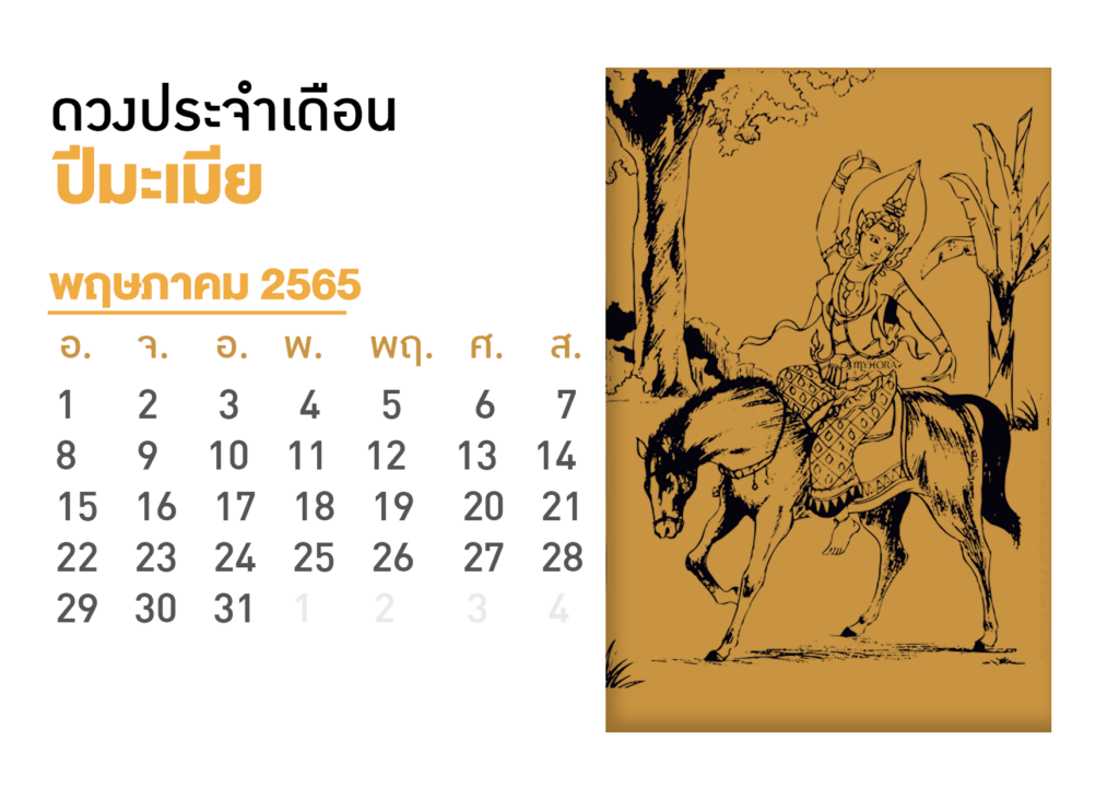 pi-mamia-5-65