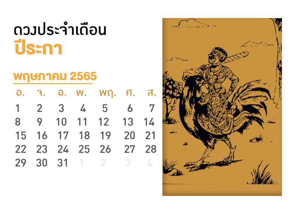 Pi-Raka-5-65