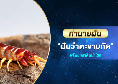 ฝันว่าตะขาบกัด ตะขาบกัดแขน หรือ กัดขา