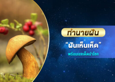 ทำนายฝัน ฝันเห็นเห็ด พร้อมเลขเด็ด