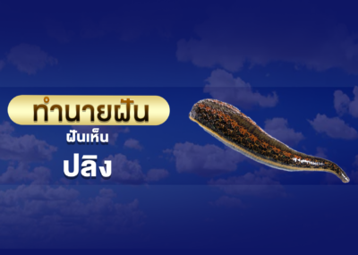 ทำนายฝัน ฝันเห็น ปลิง