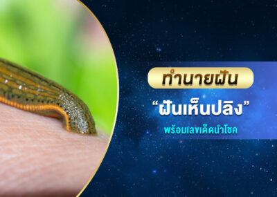 ทำนายฝัน ฝันเห็นปลิง พร้อมเลขเด็ด