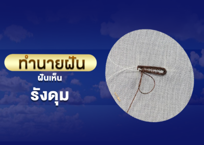 ทำนายฝัน ฝันเห็น รังดุม