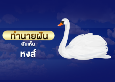 ทำนายฝัน ฝันเห็น หงส์