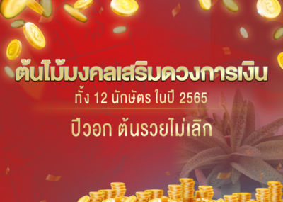 ต้นไม้มงคลเสริมดวงการเงินทั้ง 12 นักษัตร ในปี 2567 ปีวอก