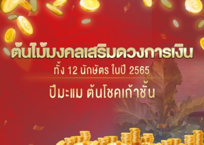 ต้นไม้มงคลเสริมดวงการเงินทั้ง 12 นักษัตร ในปี 2565 ปีมะแม
