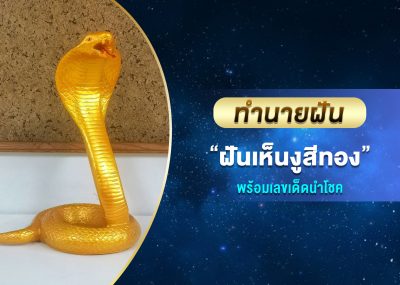 ทำนายฝัน ฝันเห็นงูสีทอง พร้อมเลขเด็ด