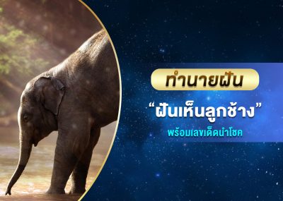 ทำนายฝัน ฝันเห็นลูกช้าง พร้อมเลขเด็ด