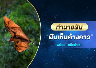 ทำนายฝัน ฝันเห็นค้างคาว พร้อมเลขเด็ด