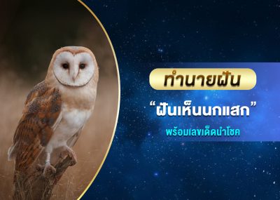 ทำนายฝัน ฝันเห็นนกแสก พร้อมเลขเด็ด