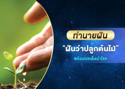 ทำนายฝัน ฝันว่าปลูกต้นไม้ พร้อมเลขเด็ด