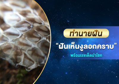 ทำนายฝัน ฝันเห็นงูลอกคราบ พร้อมเลขเด็ด