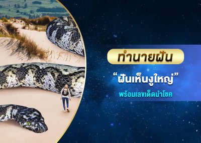 ทำนายฝัน ฝันเห็นงูใหญ่ พร้อมเลขเด็ด