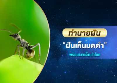 ทำนายฝัน ฝันเห็นมดดำ พร้อมเลขเด็ด