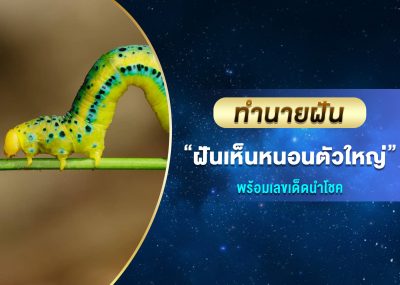 ทำนายฝัน ฝันเห็นหนอนตัวใหญ่ พร้อมเลขเด็ด