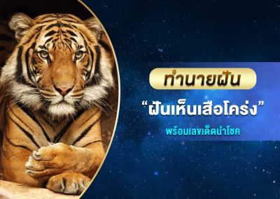 ทำนายฝัน ฝันเห็นเสือโคร่ง พร้อมเลขเด็ด