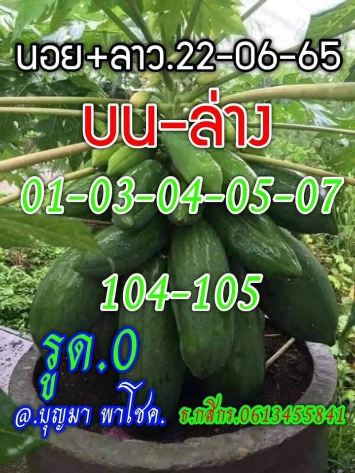 รวบรวมแนวทางหวยลาว เน้นๆ งวดประจำวันที่ 22 มิถุนายน 2565