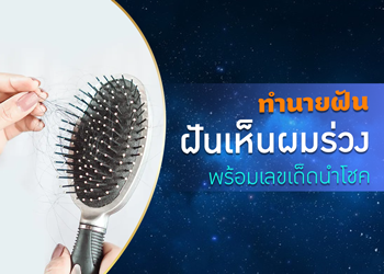 ทำนายฝัน ฝันเห็นผมร่วง พร้อมเลขเด็ดนำโชค