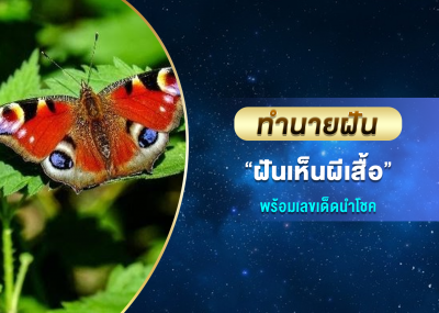 ทำนายฝัน ฝันเห็นผีเสื้อ พร้อมเลขเด็ดนำโชค