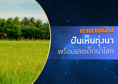 ทำนายฝัน ฝันเห็นทุ่งนา พร้อมเลขเด็ดนำโชค