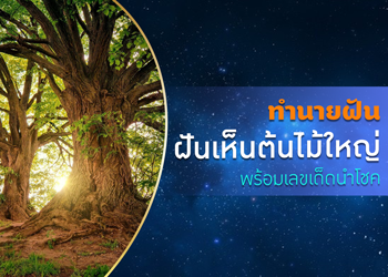 ทำนายฝัน ฝันเห็นต้นไม้ใหญ่