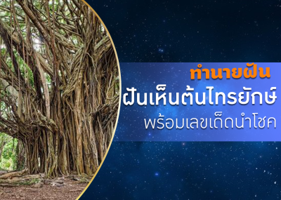 ทำนายฝัน ฝันเห็นต้นไทรยักษ์ พร้อมเลขเด็ดนำโชค