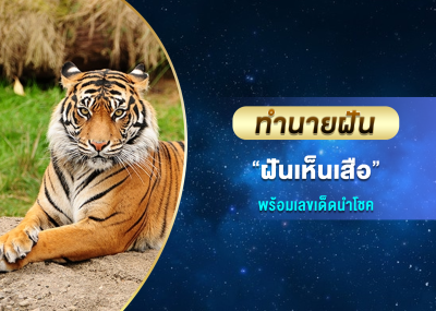 ทำนายฝัน ฝันเห็นเสือ พร้อมเลขเด็ดนำโชค