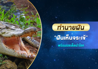 ทำนายฝัน ฝันเห็นจระเข้ พร้อมเลขเด็ดนำโชค