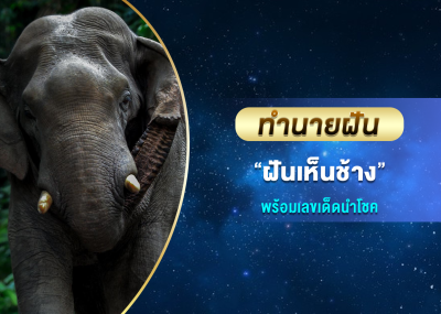 ทำนายฝัน ฝันเห็นช้าง พร้อมเลขเด็ดนำโชค