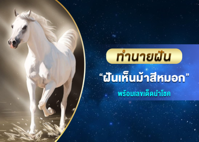 ทำนายฝัน ฝันเห็นม้าสีหมอก พร้อมเลขเด็ดนำโชค